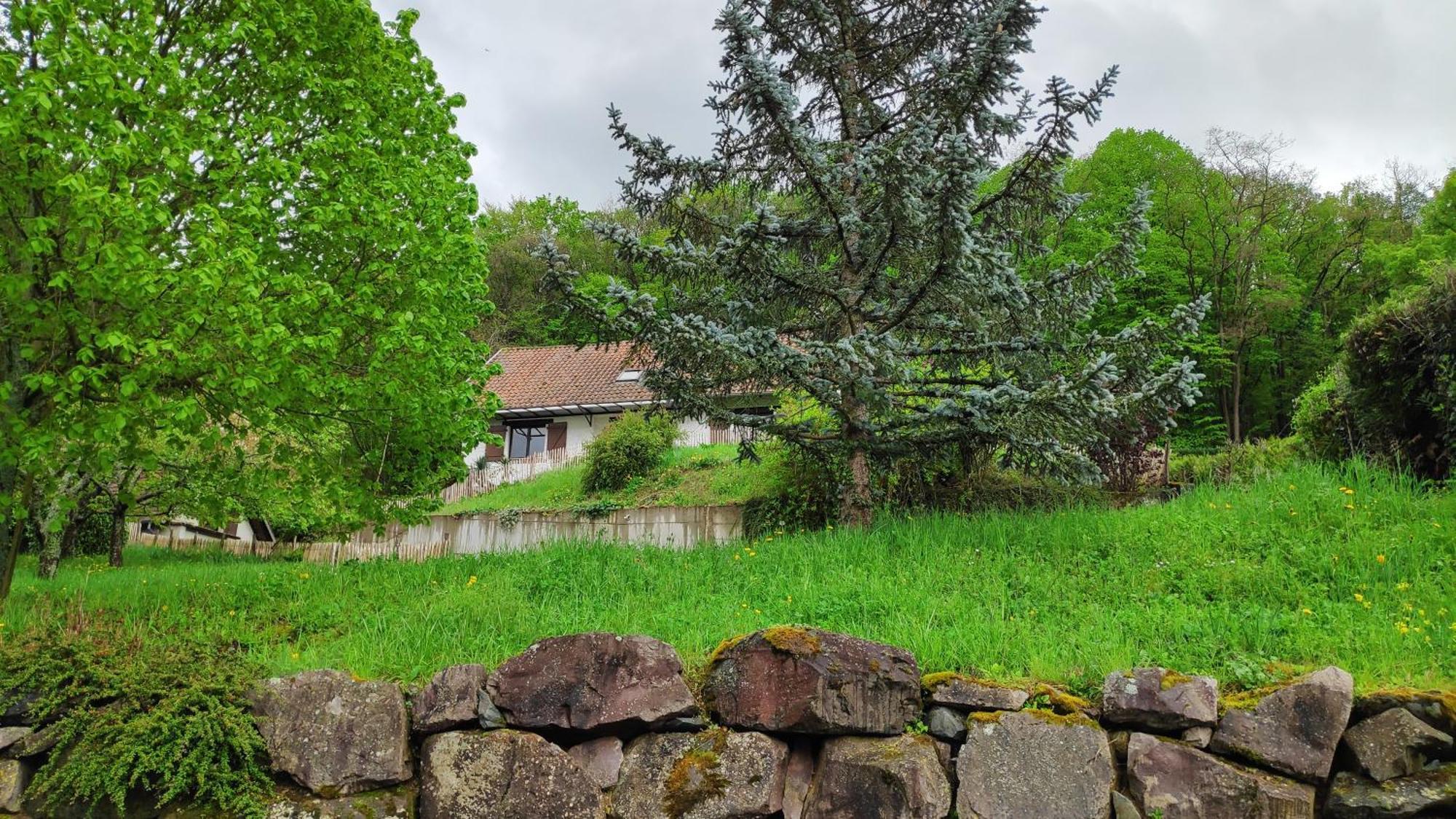 Villa Sous Le Tilleul Barr Εξωτερικό φωτογραφία